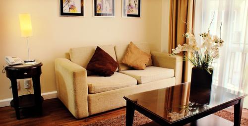 Comfortable sofa with soft pillows and coffee table with flowers
