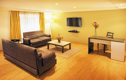 Two comfy sofas, coffee table, tv, a comfortable work desk and high-quality chair