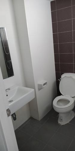 Private toilet with shower and sink